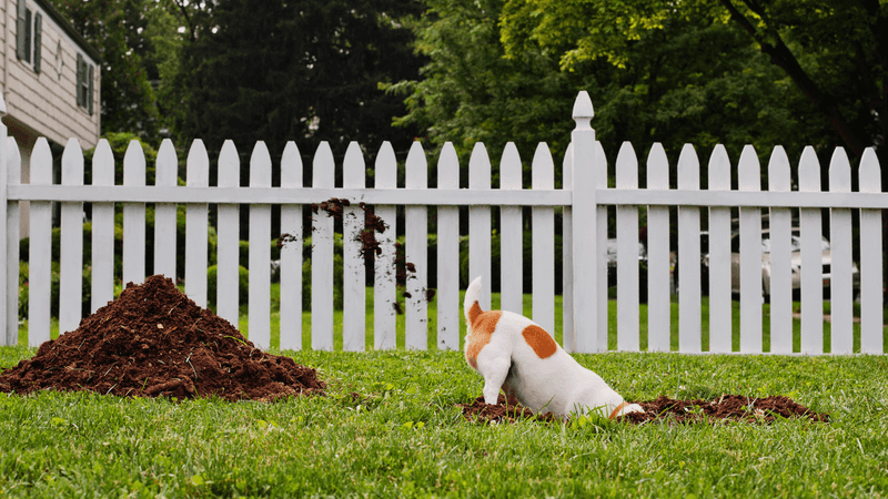 Digging