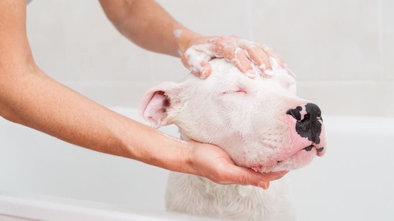 Frequent Baths