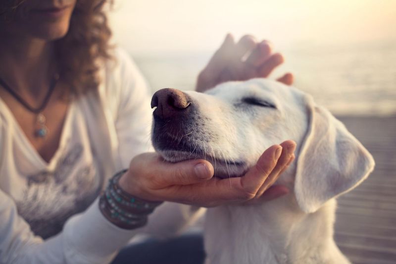 Unconditional Love
