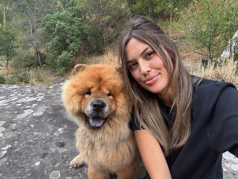 Chow Chow