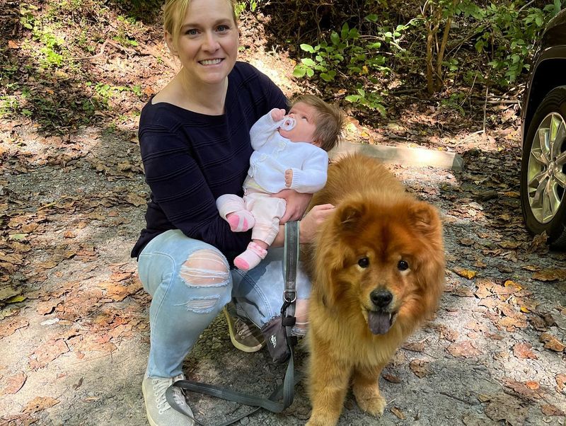 Chow Chow