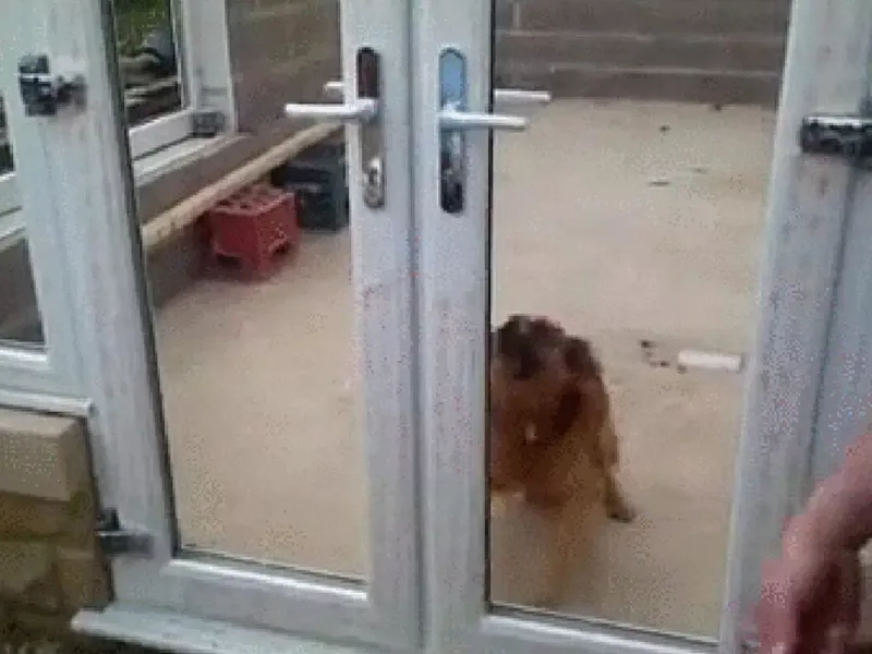 Puzzled by Doors