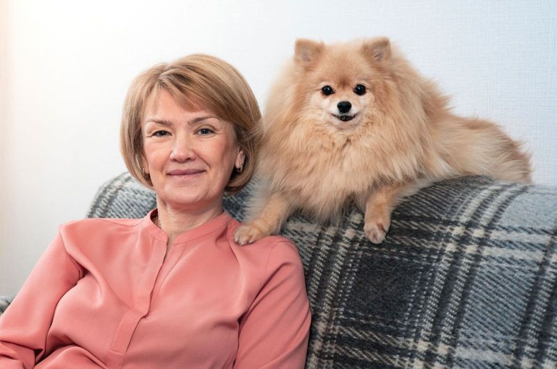 Pomeranian