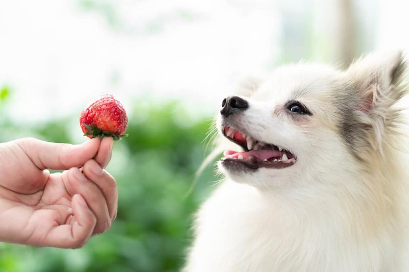 Strawberries
