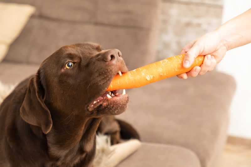 Carrots