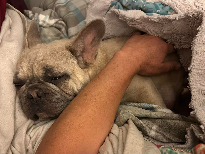 Sleeping Next to You