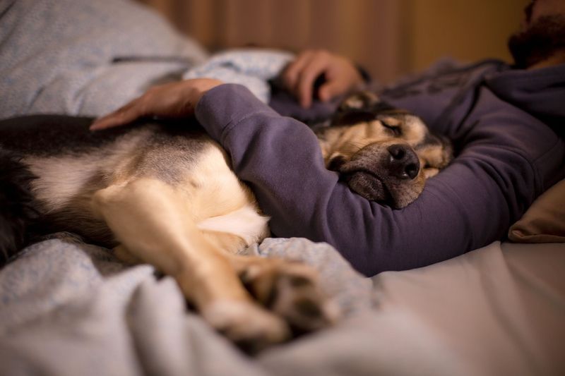 Sleeping in Your Bed