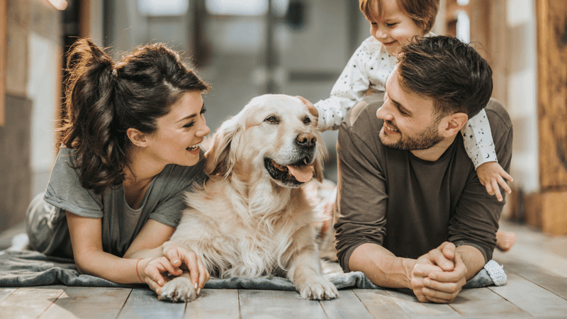 Adapting to Changes in the Household