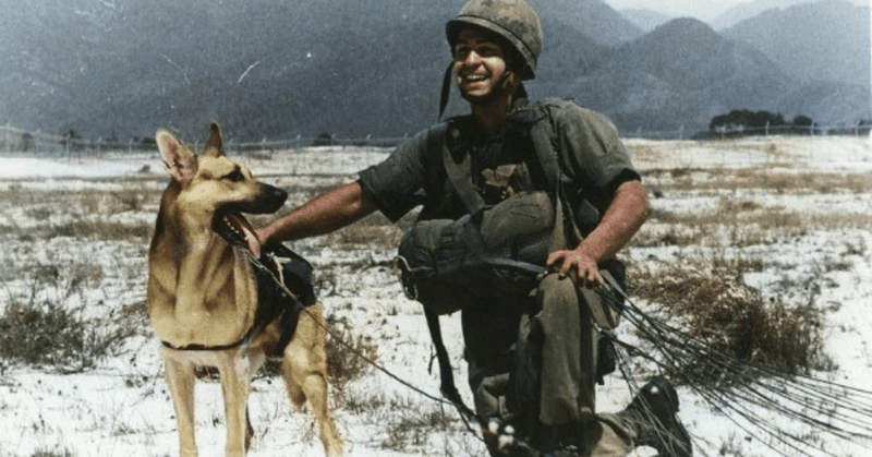 Kaiser the Sentry Dog