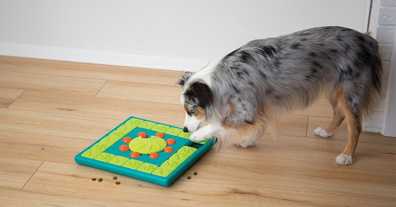 Calming Technique: Interactive Play