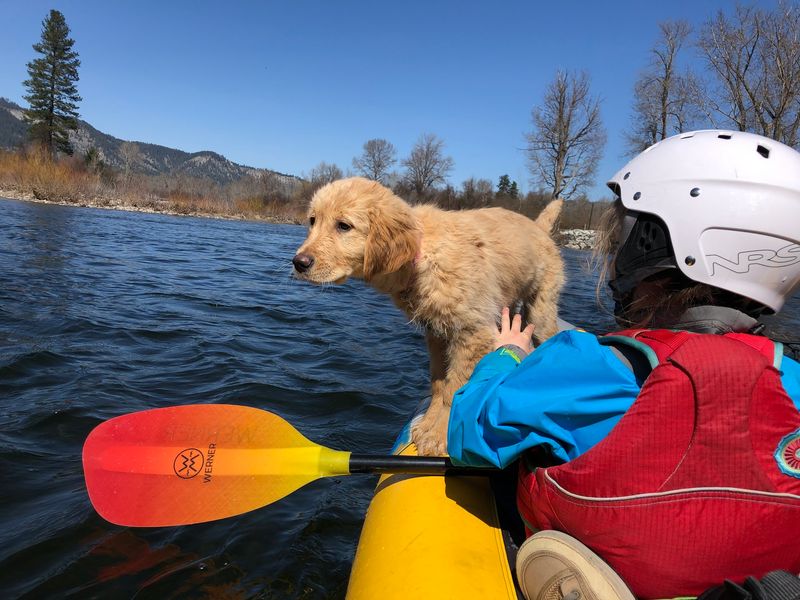 Kayaking on Calm Waters