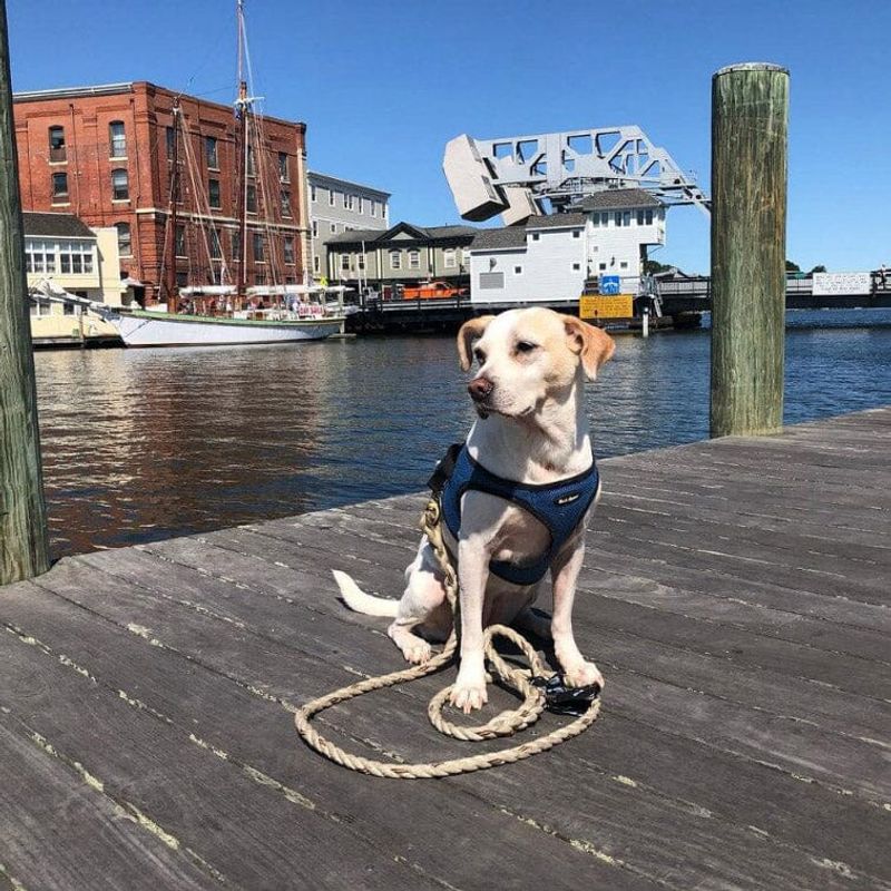 Mystic River Walk
