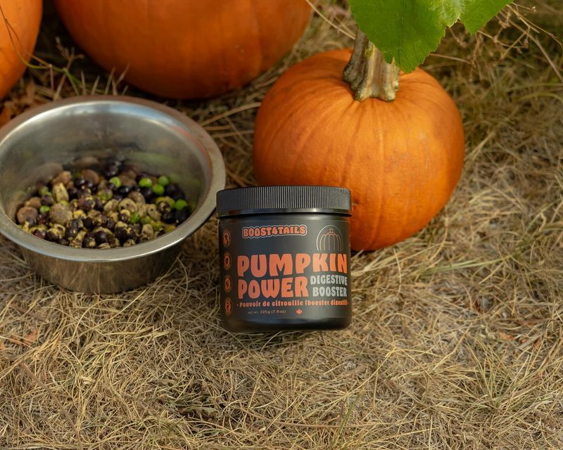 Pumpkin
