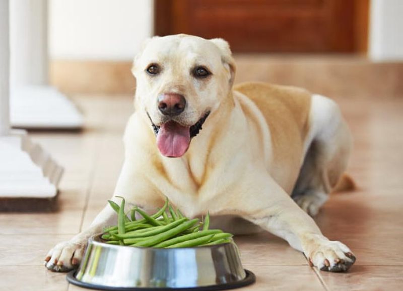 Green Beans