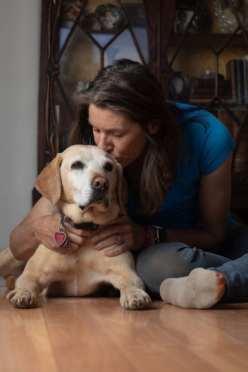 Dogs' Human-Like Attachment