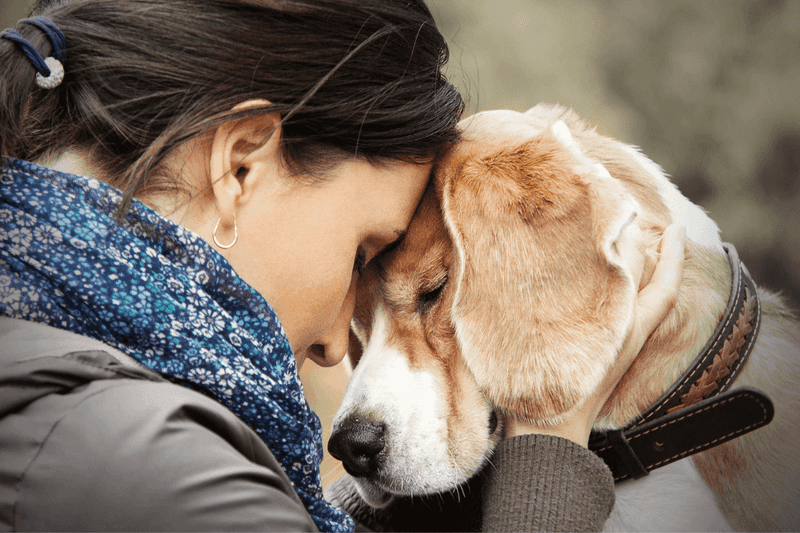 Dogs' Strong Pack Bonds