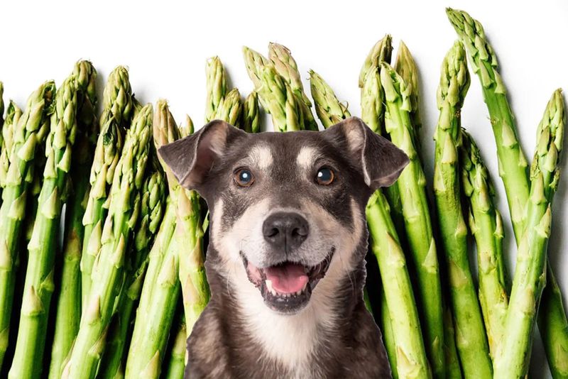 Asparagus