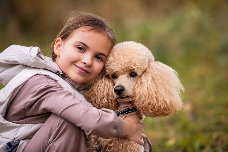 Poodle