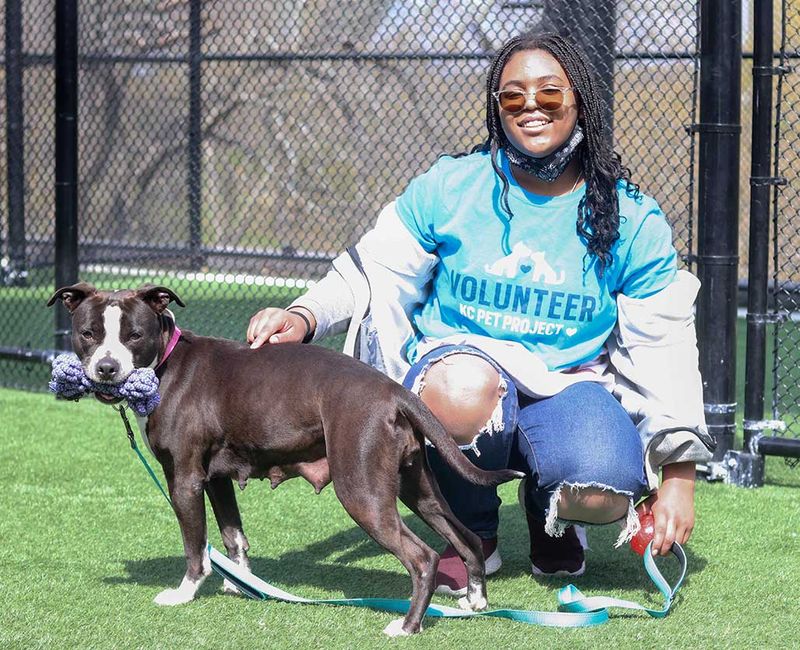 Engage in Volunteering Activities