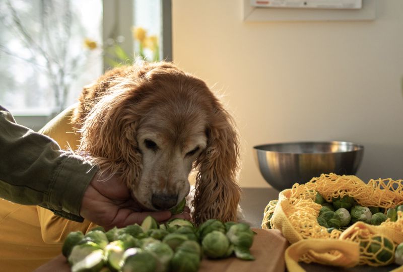 Brussels Sprouts
