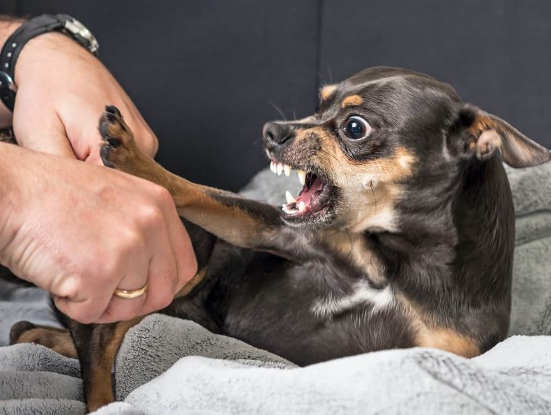 Aggression