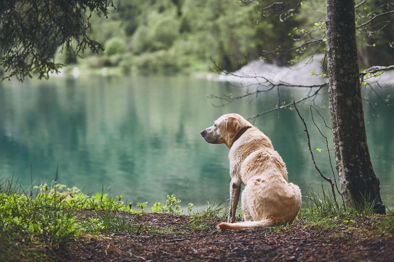 Seeking Solitude