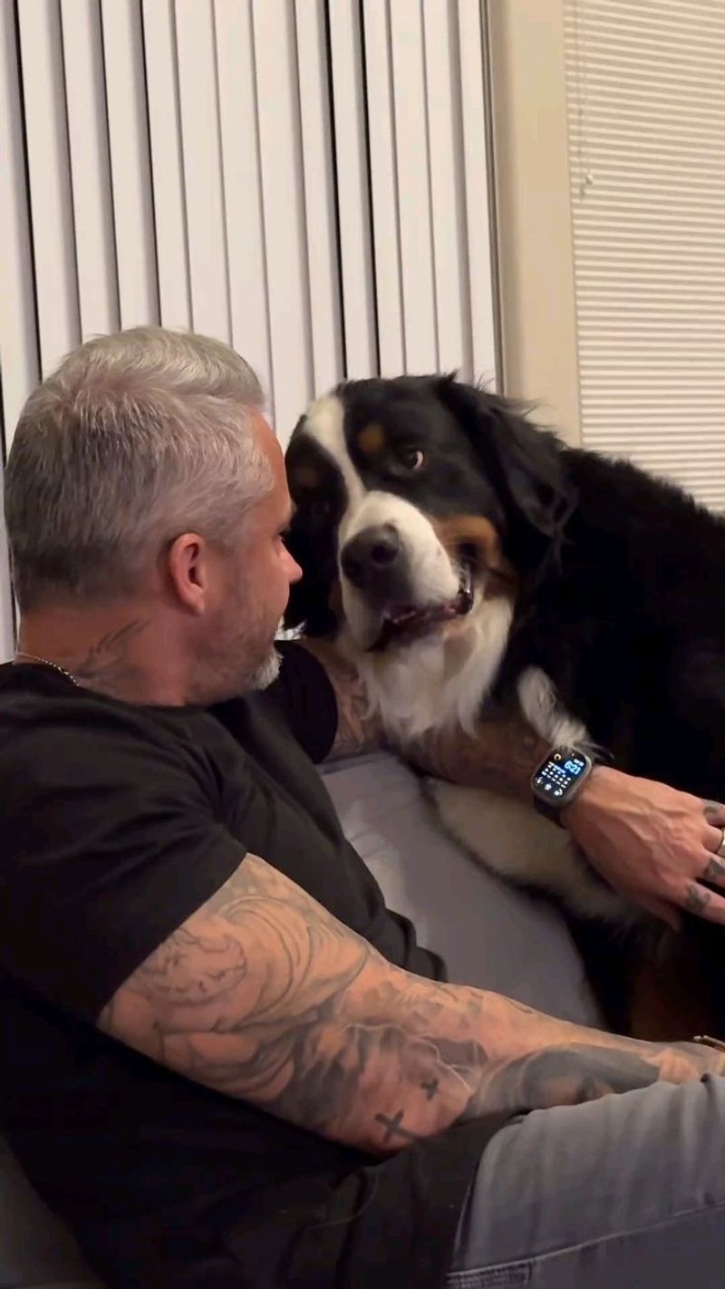 Knowing Nuzzles