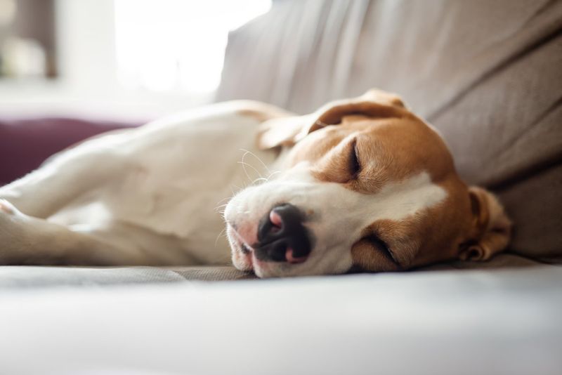Side Sleeping