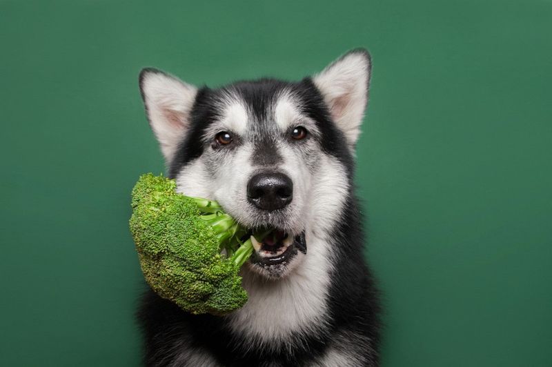 Broccoli