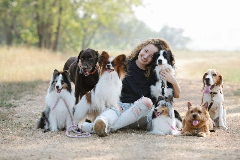 Overlooking Breed Characteristics