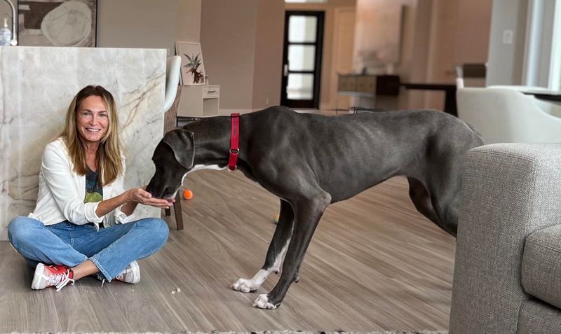 Great Dane