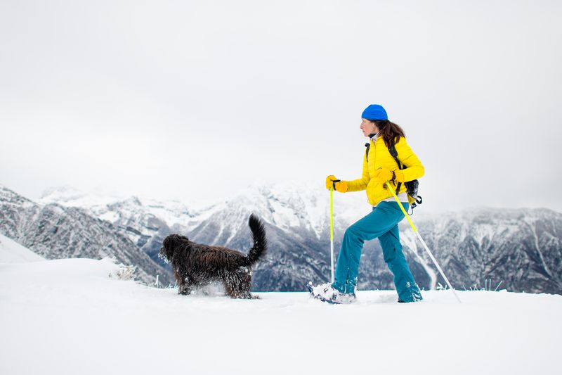 Snowshoeing in Winter Wonderland