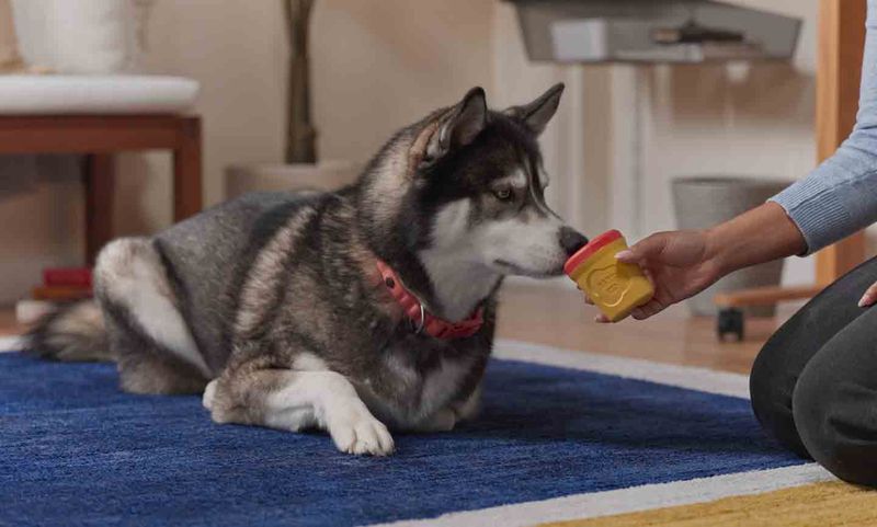 Behavioral Training Techniques