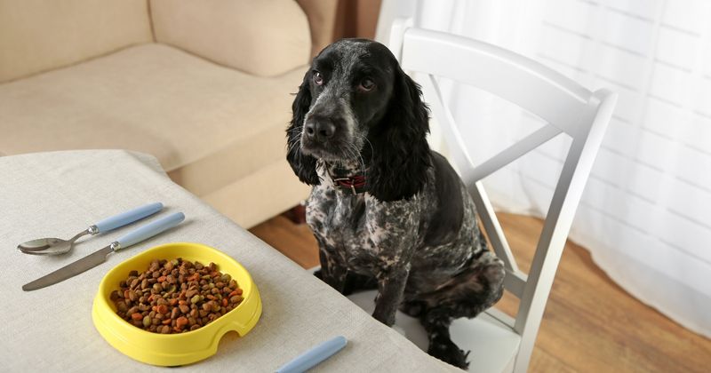 Loss of Interest in Food