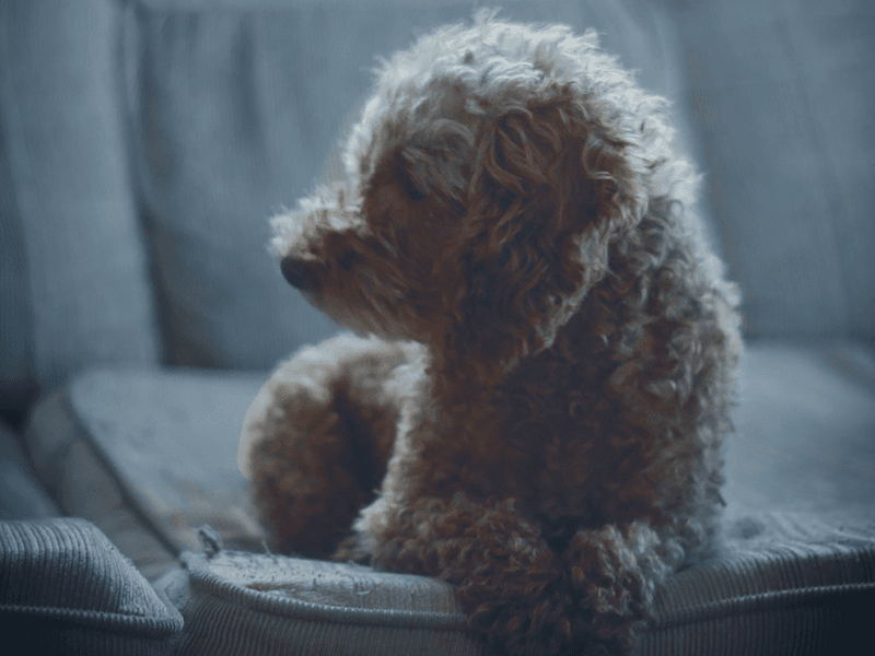 Withdrawal from Interaction