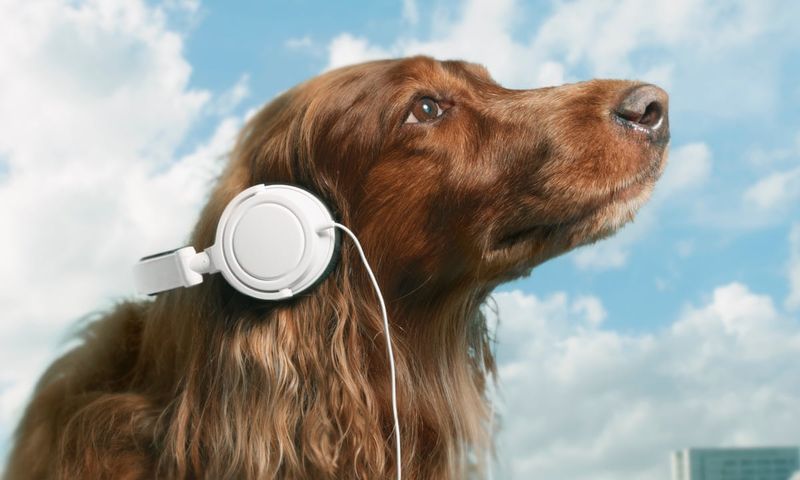Calming Technique: Music Therapy