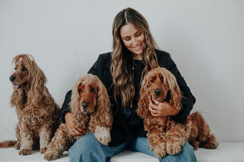 Cocker Spaniel