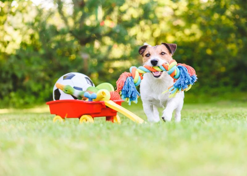 The Joy of Simple Pleasures
