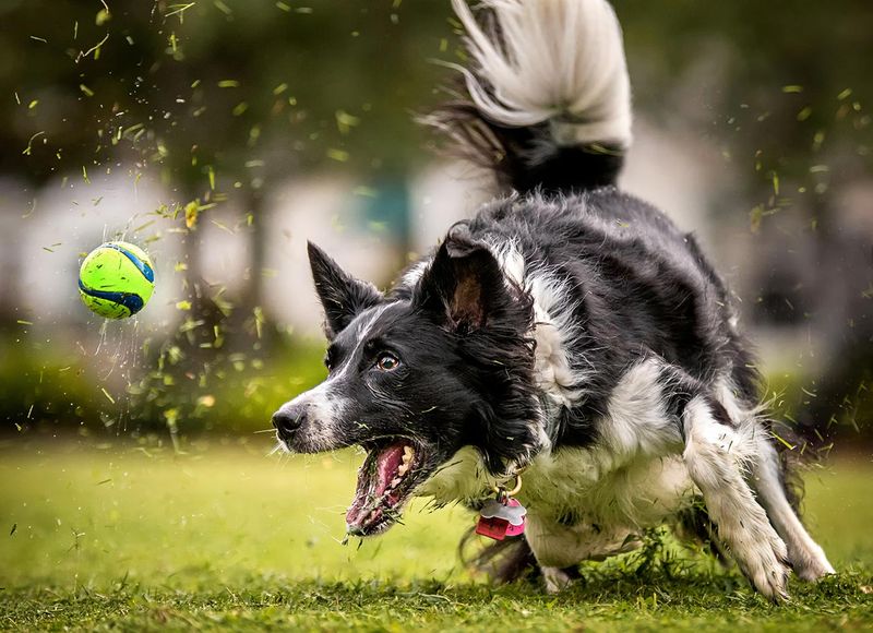 Playtime Fun