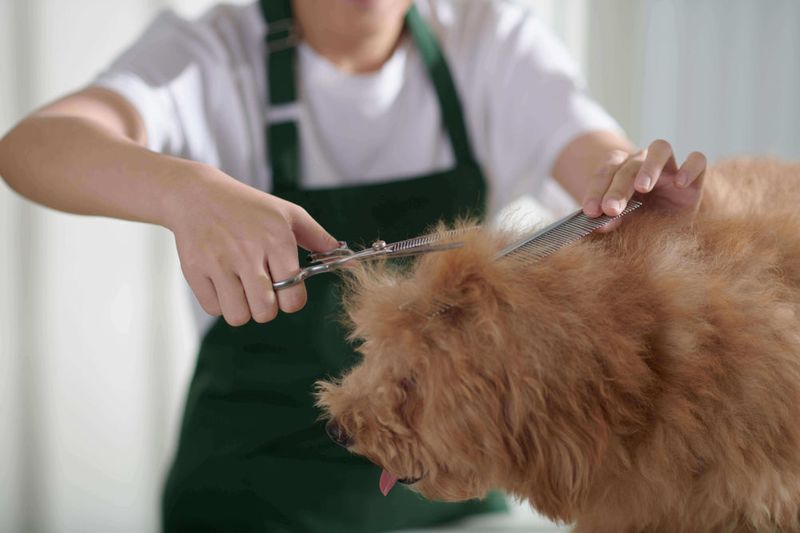 Grooming Routine