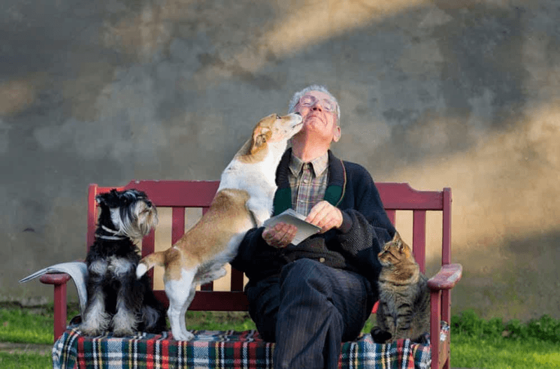 The Role of Companionship