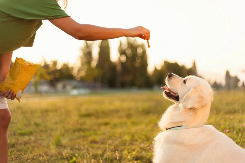 Positive Reinforcement