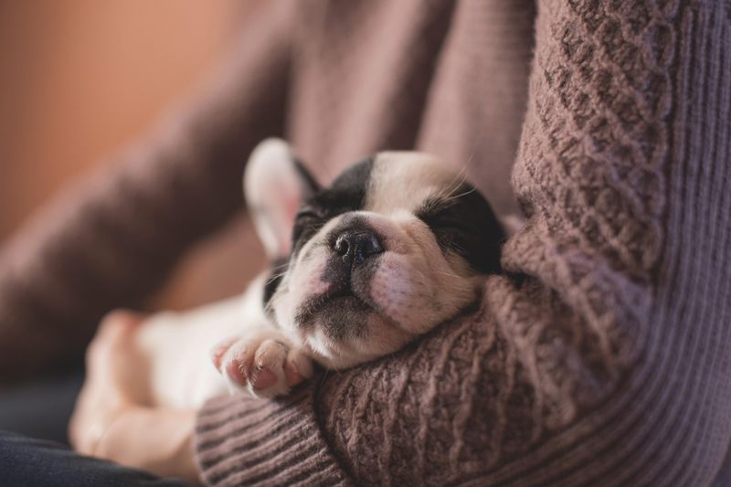 Snuggle Sessions