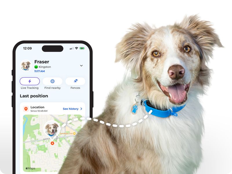 Using Technology for Pet Safety