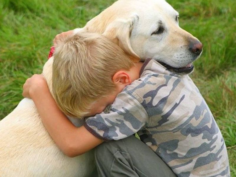 Empathy