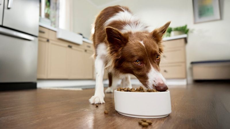 Quality Nutrition