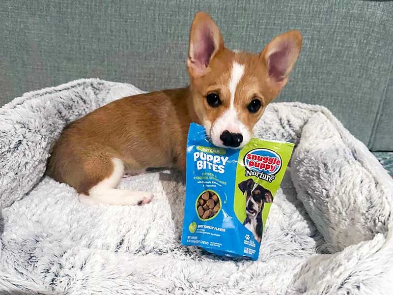 Calming Supplements and Toys