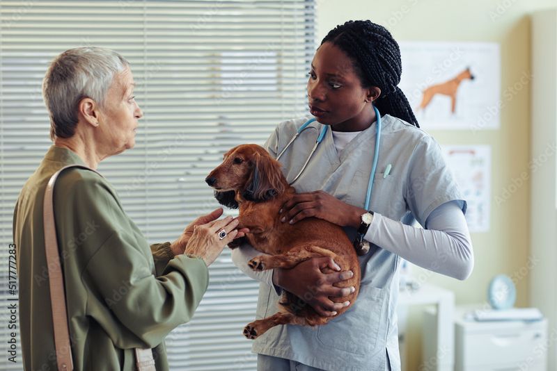 Consult with a Veterinarian