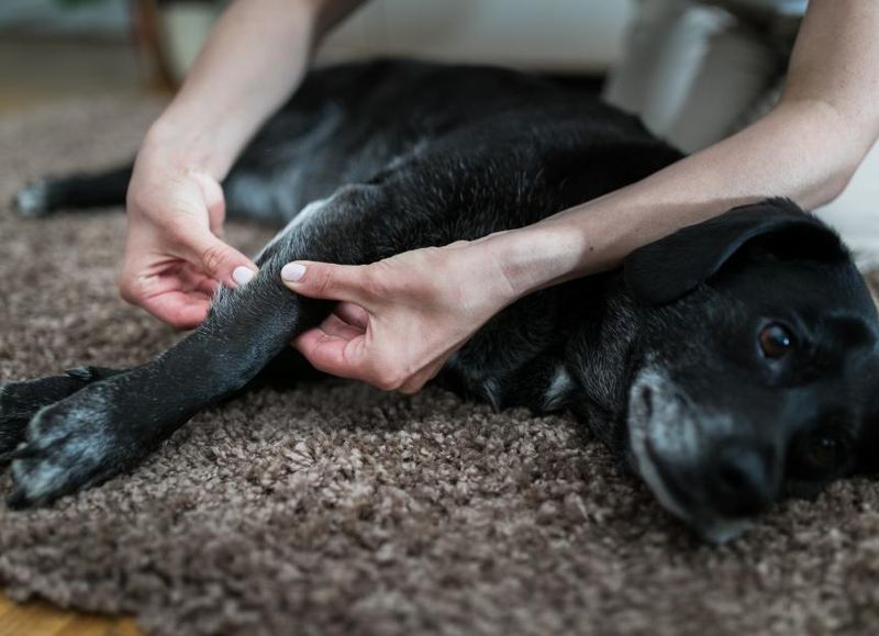 Engage in Gentle Touch
