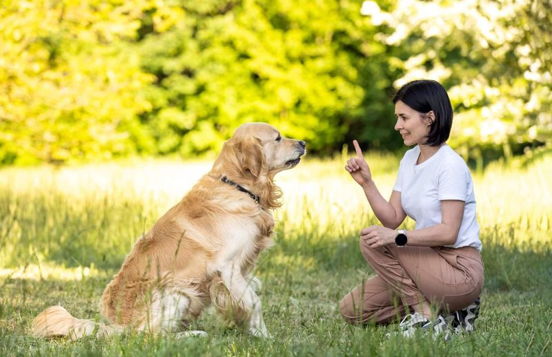 The Art of Listening